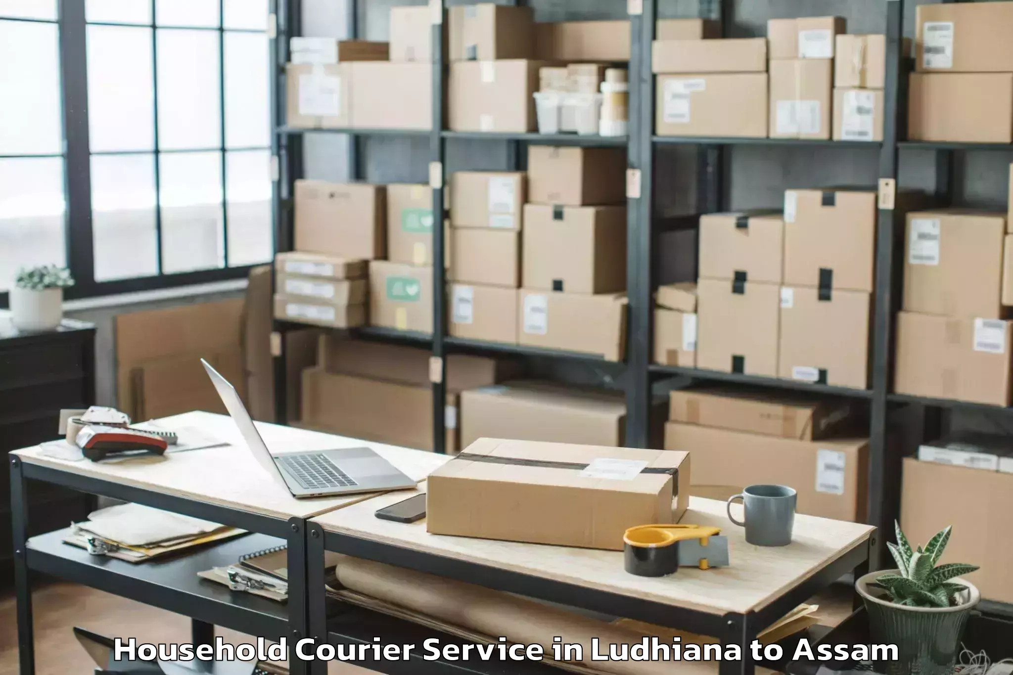 Top Ludhiana to Mangaldai Household Courier Available